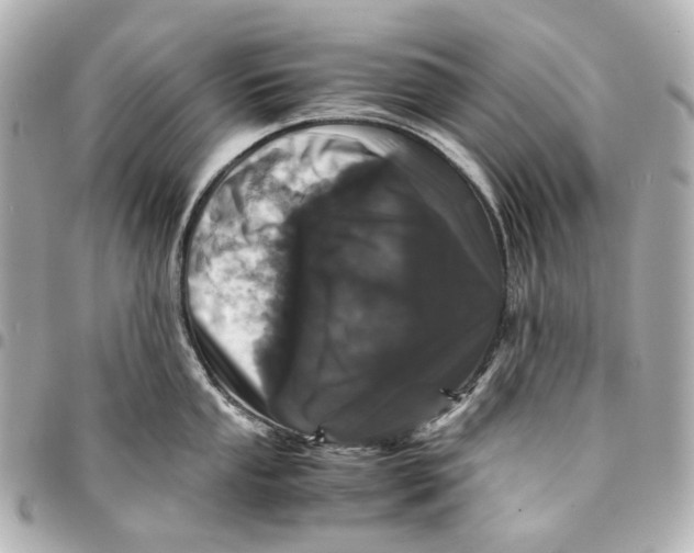 X0000094971053200712201218