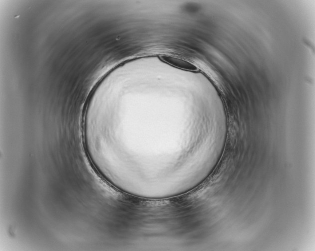 X0000094971055200712201218