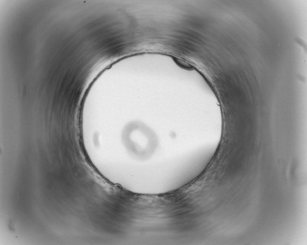 X0000094971056200712201218