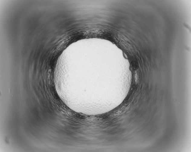 X0000094971059200712201218