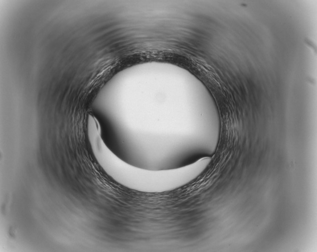 X0000094971060200712201217