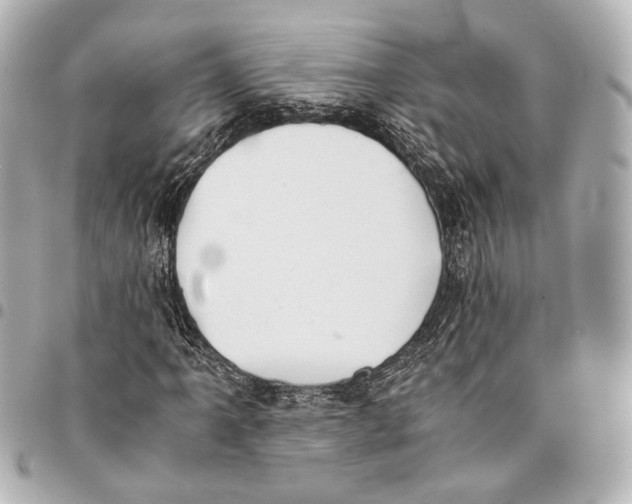 X0000094971061200712201217