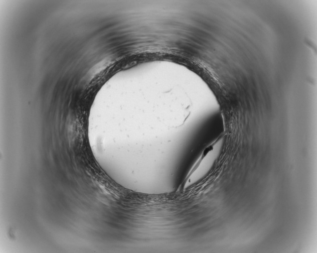 X0000094971064200712201217