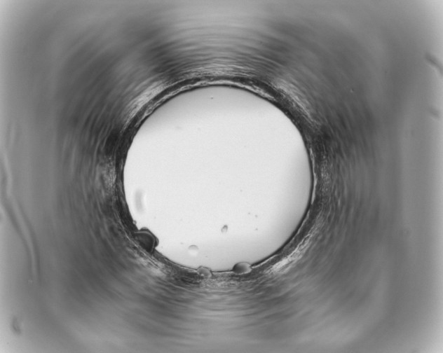 X0000094971065200712201217