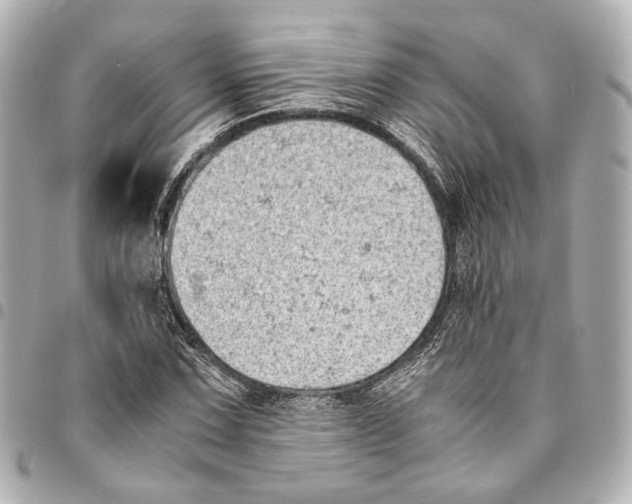 X0000094971067200712201217