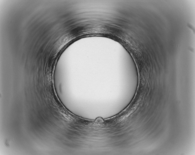 X0000094971073200712201217