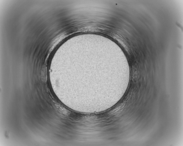 X0000094971075200712201217