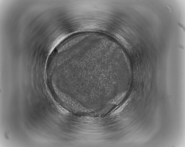 X0000094971077200712201217