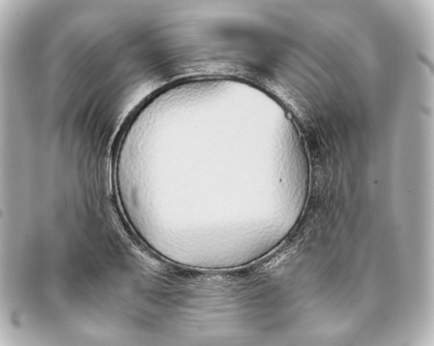 X0000094971079200712201217