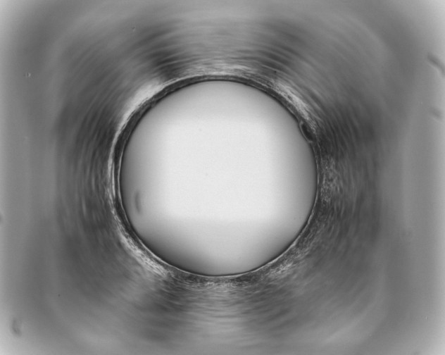 X0000094971080200712201217