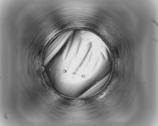 X0000094971081200712201217