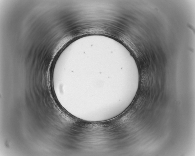 X0000094971082200712201217