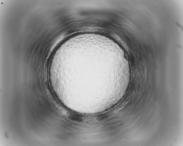 X0000094971083200712201217