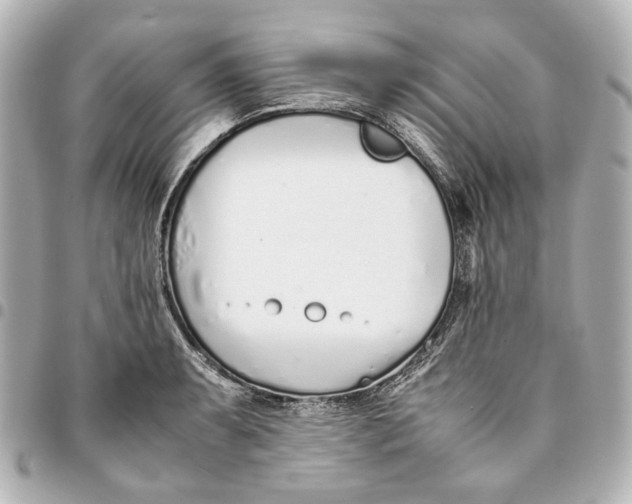 X0000094971087200712201217