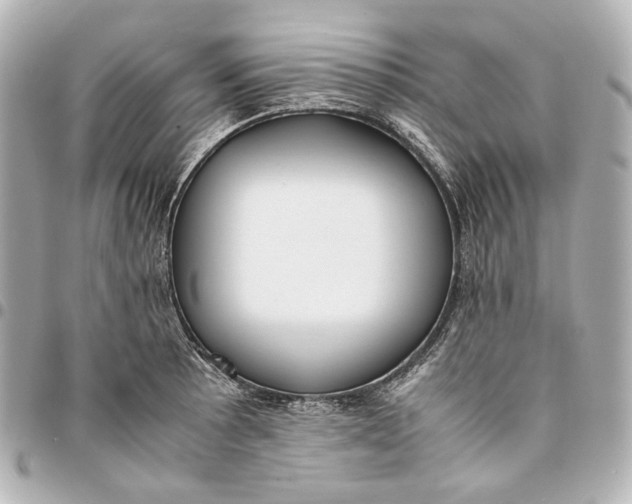 X0000094971089200712201217