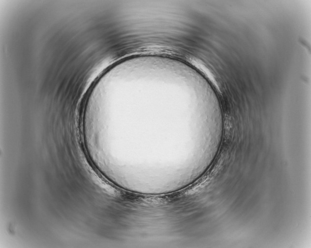 X0000094971091200712201217