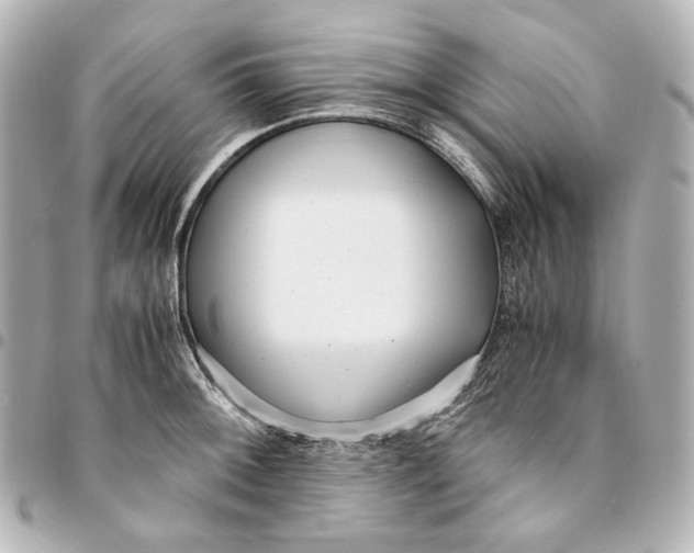 X0000094971092200712201217