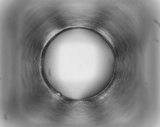 X0000094971093200712201217