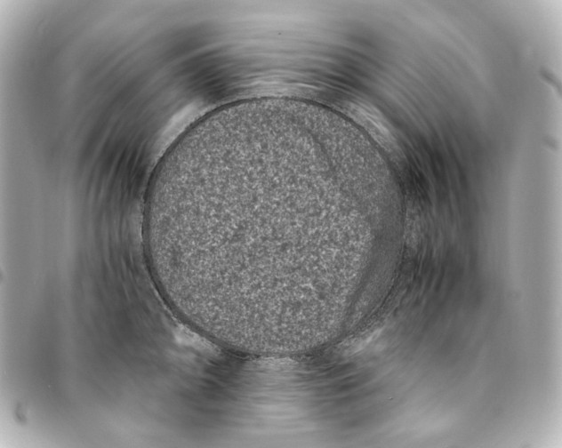 X0000094971094200712201217