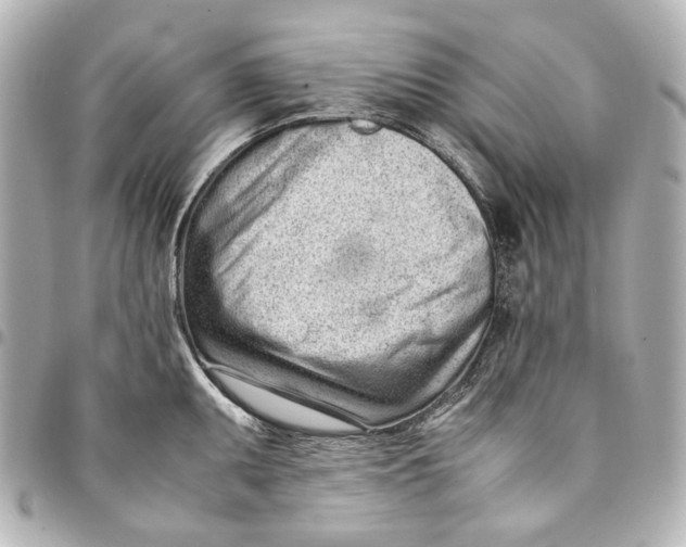 X0000094971095200712201217