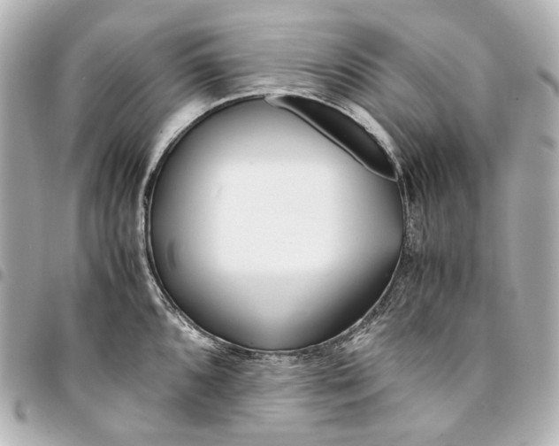 X0000094971096200712201217