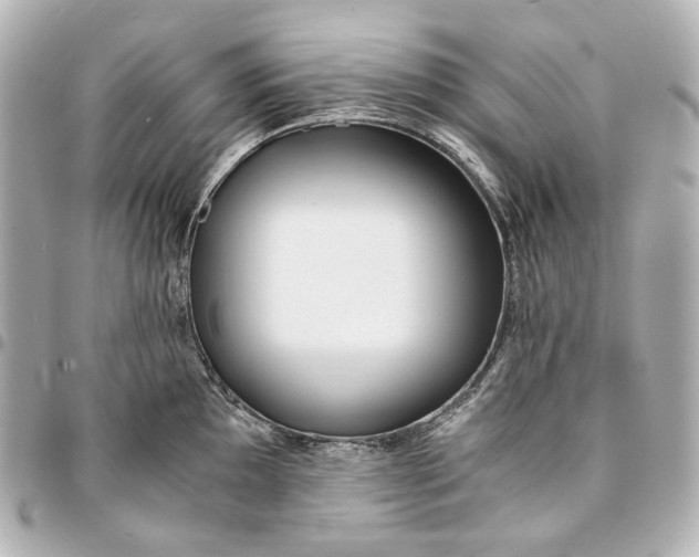 X0000094971097200712201217