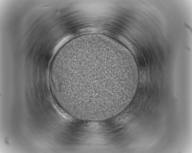 X0000094971098200712201217