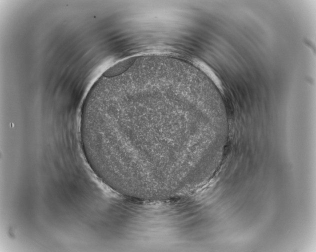 X0000094971099200712201217