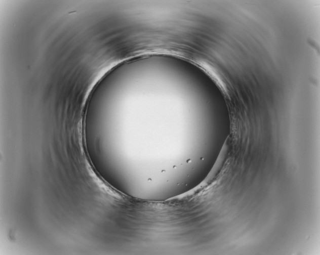 X0000094971100200712201217