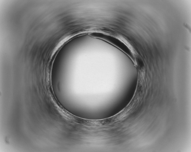 X0000094971101200712201217