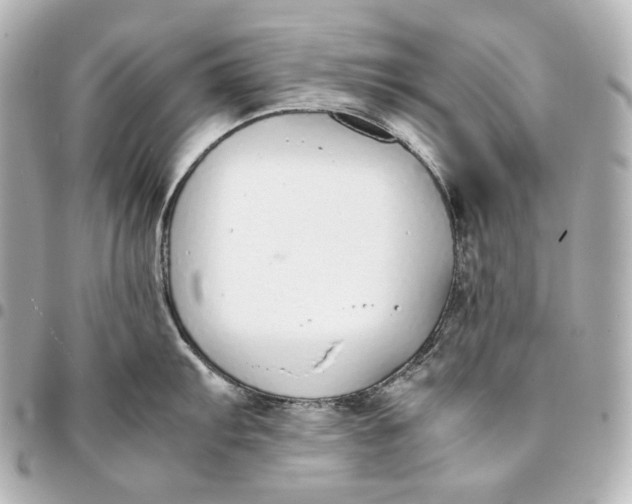 X0000094971103200712201217