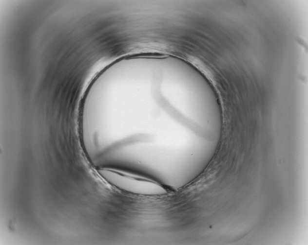 X0000094971104200712201217