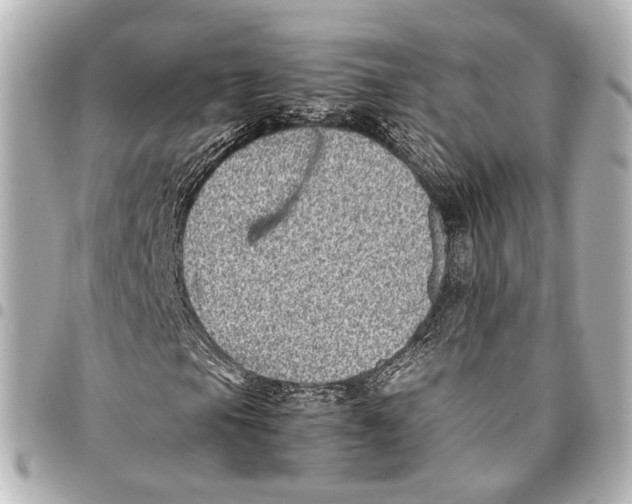 X0000094971105200712201216