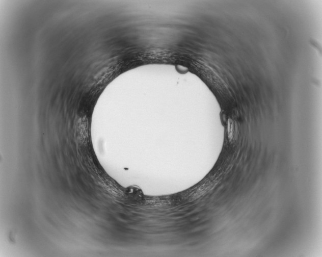 X0000094971107200712201216