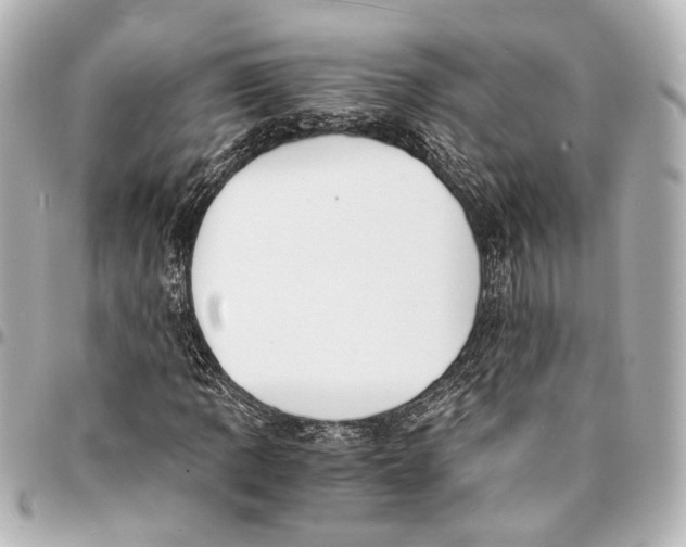 X0000094971109200712201216