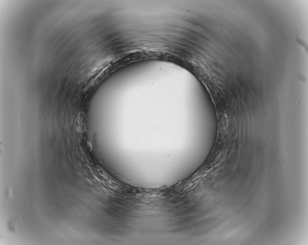 X0000094971110200712201216