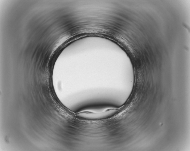 X0000094971114200712201216