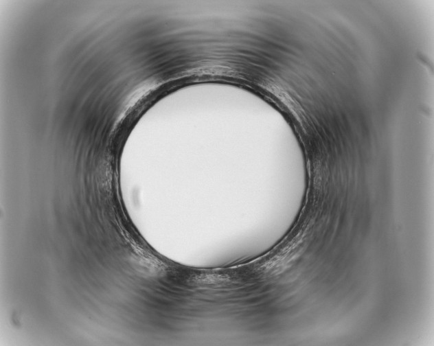 X0000094971115200712201216