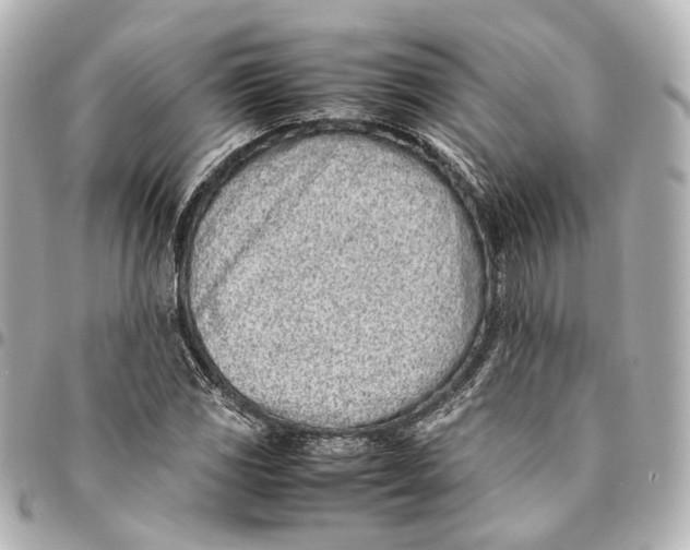 X0000094971117200712201216