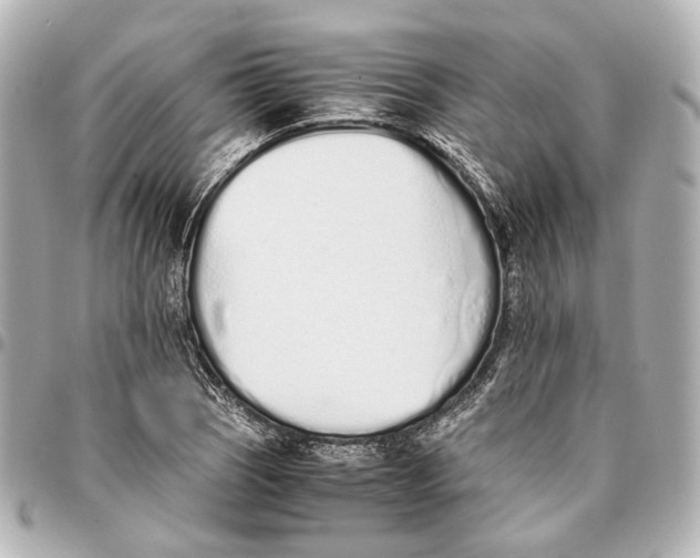 X0000094971121200712201216