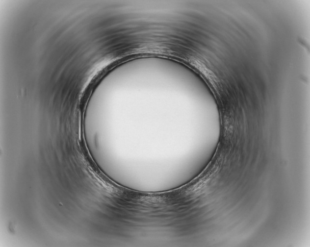 X0000094971123200712201216