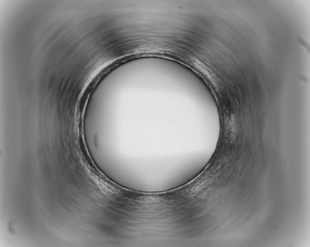 X0000094971124200712201216