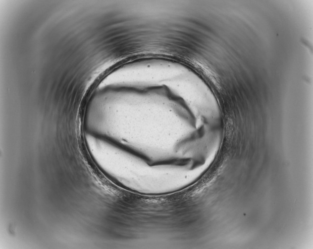 X0000094971125200712201216