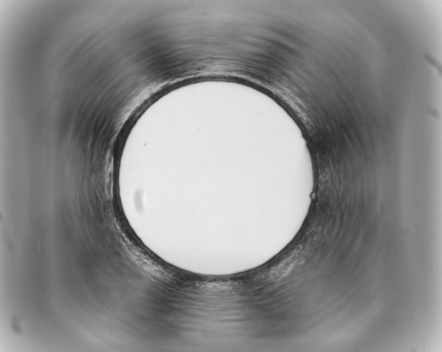 X0000094971126200712201216