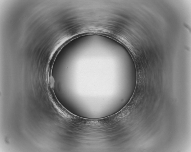 X0000094971128200712201216