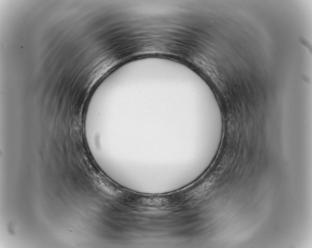 X0000094971129200712201216