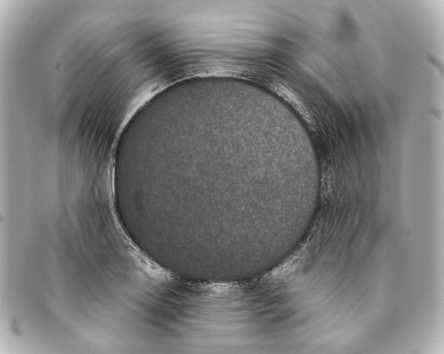 X0000094971130200712201216