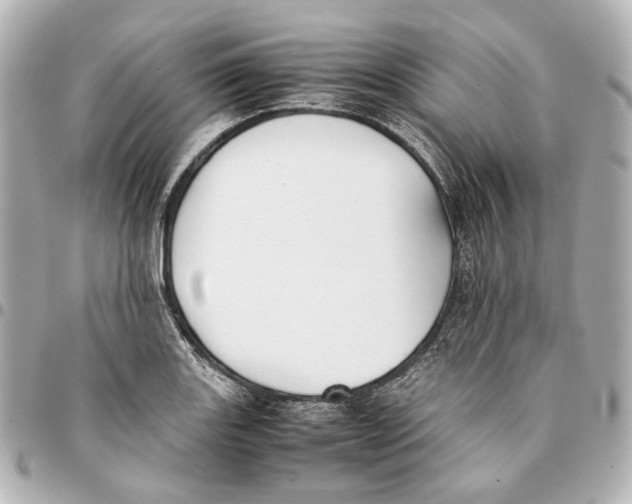 X0000094971131200712201216