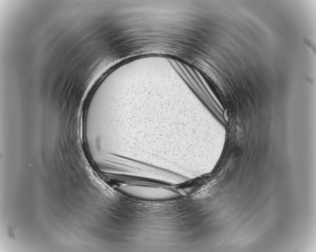 X0000094971132200712201216