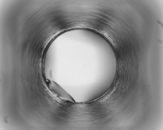 X0000094971134200712201216